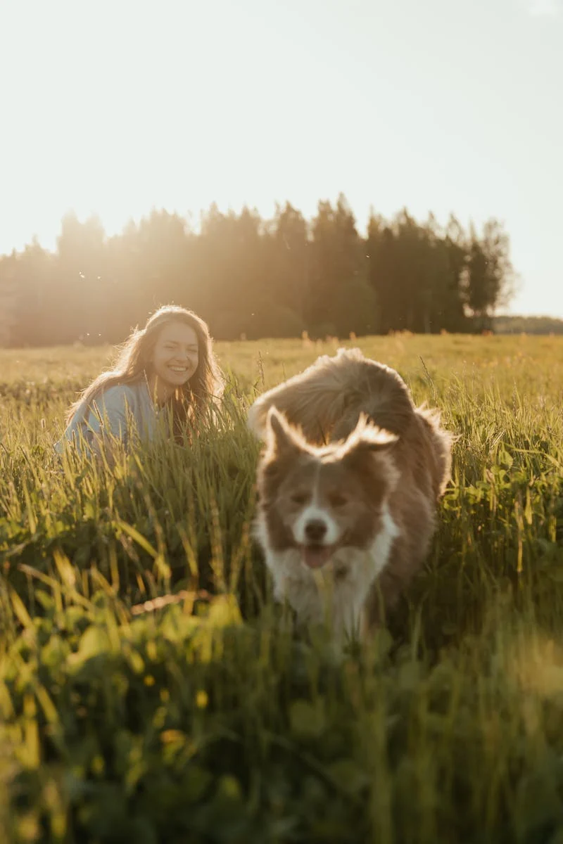 Makanan Untuk Anjing Golden Retriever